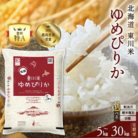 【ふるさと納税】【精米種別・初回配送月・容量・回数を選べる】【R7年産米 定期便】「ゆめぴりかコンテスト2019」最高金賞受賞！東川米「ゆめぴりか」