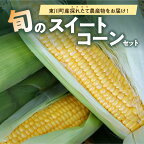 【ふるさと納税】【8月下旬より順次発送】旬の採れたて野菜「スイートコーンセット」