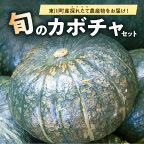 【ふるさと納税】【9月下旬発送】旬の採れたて野菜「カボチャセット」