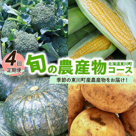 【ふるさと納税】【4回定期便】旬の農産物コース