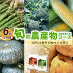 【ふるさと納税】【6回定期便】旬の農産物コース