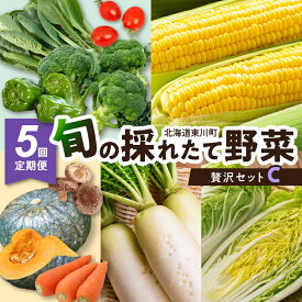 【ふるさと納税】【5回定期便】旬の採れたて野菜「贅沢セットC」