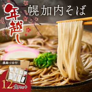 【ふるさと納税】【先行予約!年末発送】年越し幌加内そば12食セット(濃縮つゆ付)