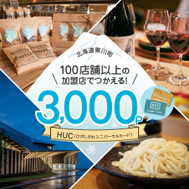 【ふるさと納税】HUCポイント　3,000円分