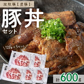 【ふるさと納税】放牧豚”炭豚”の豚丼セット(120g×5)