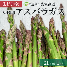 【ふるさと納税】【大坪農園】≪2026年 先行予約≫ 春の恵み　北海道東川町産アスパラガス　2Lサイズ　1kg