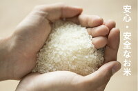 【ふるさと納税】特A東川米ななつぼし30kgと大雪旭岳源水のセット(5kg×6袋と2L×12本を2回に分けてお届け!)