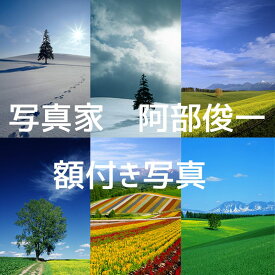 【ふるさと納税】額付き写真　写真家　阿部俊一 北海道 北海道美瑛 北海道美瑛町 美瑛町 美瑛 四季彩の丘 クリスマスツリーの木 [036-35]