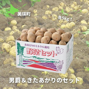 yӂ邳Ɣ[Łzߘa7NY\tI₨Ƃ j݁̃Zbg(e5kg) | ӂ邳Ɣ[ lC  LO { Ⴊ  WKC  C VN NxQ  