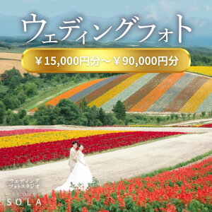 yӂ邳Ɣ[ŁzX^WISOLA@EFfBOtHgBe 15,000~ 30,000~ 90,000~ | kC l tHg O ԉ LO EFfBO EGfBO LO Be l j 