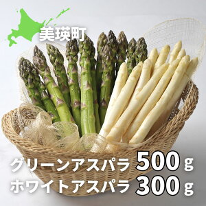 yӂ邳Ɣ[ŁzO[AXp 500g(LTCY)  zCgAXp 300g(LTCYȏ)yߘa8NYs\z | zCg O[ AXpKX AXp ς ς炪 