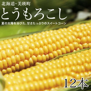 yӂ邳Ɣ[Łzߘa8NY\tI Ƃ낱 kC XC[gR[ (12{) lI Ƃ Ė lY kCY kCYƂ낱 [013-91]