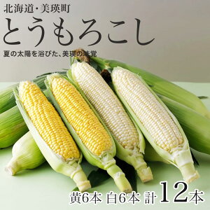 yӂ邳Ɣ[Łzߘa8NY\tIXC[gR[iEje6{Zbg@kC@kCl kCl l l Ƃ낱 Ƃ XC[gR[ Hה Ė؁@