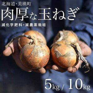 yӂ邳Ɣ[Łzyߘa7NY\tIz{R_̋ʂ˂5kg 10kg kC l ܂˂ ʔK   ʃlM ^}lM IjI XCX T_ no[O Ⴊ X` Ă 