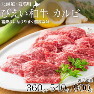 yӂ邳Ɣ[ŁzJr (360gE540gE900g)ē uтav a ؂藎Ƃ  ē  kC kCl kCl l lY kCY la t@[Yc[016-27]