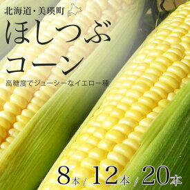 【ふるさと納税】【令和8年産予約受付！】とうもろこし（ほしつぶコーン）8本 12本 20本 野菜　送料無料 北海道 北海道美瑛 北海道美瑛町 美瑛町 美瑛 北海道産 美瑛産 スイートコーン [ 5kg 以上] とうきび 黒木農場[009-32]