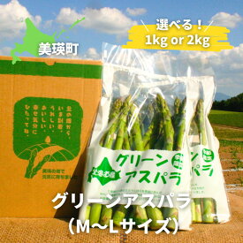 【ふるさと納税】【令和8年産予約受付！】グリーンアスパラ（M〜Lサイズ）1kg 2kg 送料無料 野菜 美瑛 美瑛町 北海 美瑛 北海道美瑛町 美瑛産アスパラ アスパラガス 黒木農場[012-186]