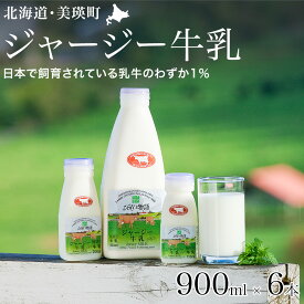 【ふるさと納税】ファームズ千代田 ジャージー牛乳 900ml×6本 | ミルク 冷蔵 人気 送料無料 北海道 美瑛 おすすめ お土産 牛乳 ジャージー ジャージー牛乳 ノンホモ ノンホモ牛乳 しぼりたて 搾りたて ノンホモジナイズ ノンホモジナイズ製法 希少[022-38]