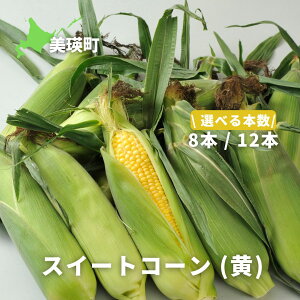 yӂ邳Ɣ[Łzߘa8NY\tI XC[gR[ij12{ 8{   l l kC kCl kCl kCYƂ낱 kCYƂ Ƃ낱