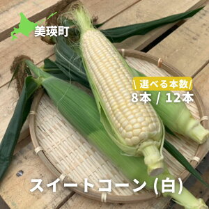 yӂ邳Ɣ[Łzߘa8NY\tI XC[gR[ij8{ 12{ l l kC kCl kCl kCYƂ낱 kCYƂ Ƃ낱 Ƃ XC