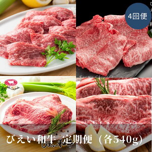 yӂ邳Ɣ[Łz тa  (540g 4) kC a Y   la Jr ē Ă u[X T[C ؂藎Ƃ   4 kCl kCl 