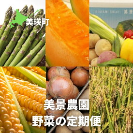 【ふるさと納税】【令和8年産予約受付！】野菜 定期便 詰め合せ セット 5ヶ月 6ヶ月 6回 半年 野菜 定期便 送料無料 アスパラ アスパラガス メロン 赤肉メロン 夏野菜 秋野菜 米 美瑛　北海道美瑛 北海道美瑛町 美瑛町 美瑛産 北海道産 北海道メロン 美景農園[085-03]