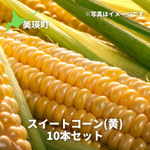 yӂ邳Ɣ[Łzߘa8NY\tIXC[gR[ij10{ kC kCl kCl@l@kCY@lY@XC[gR[ Ƃ낱 Ƃ kCƂ