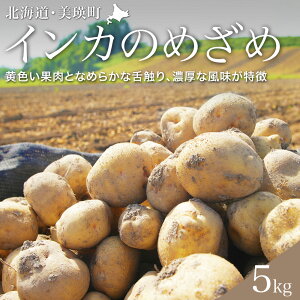 yӂ邳Ɣ[Łz yߘa7NY\tIzؔ_ Ⴊ CĴ߂ 5kg | lC  LO   C Ⴊ WKC CJ̖ڊo kC [013-62]