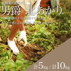 yӂ邳Ɣ[Łzys\zႪij݁Ekj5kg 10kg ߘa7NY⍕ؔ_ | lC  LO   C Ⴊ WKC j k  L^