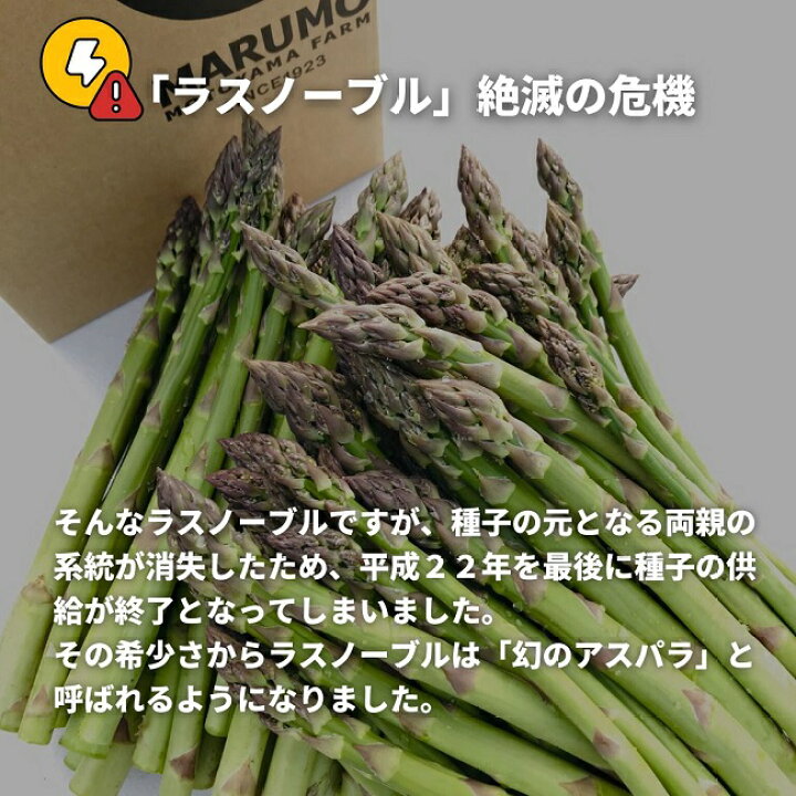 楽天市場】【ふるさと納税】幻のアスパラ 1kg 2kg【予約受付！】令和7 