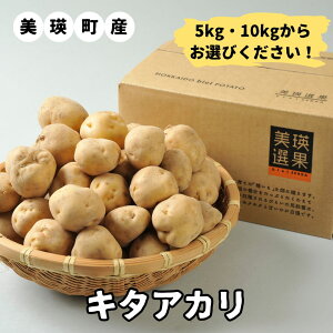 yӂ邳Ɣ[Łzߘa7NY\tIlY L^AJ (5kgE10kg) kC ʍ͔| WKC n鏒 L^AJ   C |eg k  _앨  Yn k