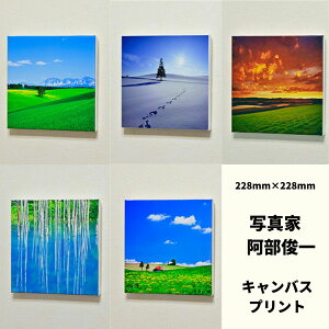 yӂ邳Ɣ[ŁzLoXvg(228mm × 228mm)@kC@kCl@kCl@l@l@ʐ^@@r@Ԃ̉Ɓ@NX}Xc[̖؁@ʐ^Ɓ@r@[022-33]