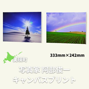 yӂ邳Ɣ[ŁzLoXvg(333mm × 242mm)@kC@kCl@kCl@l@l@ʐ^@NX}Xc[̖؁@ʐ^Ɓ@r@[048-05]