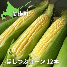 【ふるさと納税】令和6年産　とうもろこし（ほしつぶコーン）12本　北海道　北海道美瑛　北海道美瑛町　美瑛町　美瑛　北海道産　美瑛産　スイートコーン　とうきび　黒木農場　[012-45]