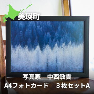 yӂ邳Ɣ[Łzʐ^Ɓ@qM@A4tHgJ[h@3ZbgA@[010-204]