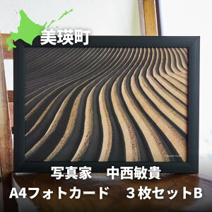 yӂ邳Ɣ[Łzʐ^Ɓ@qM@A4tHgJ[h@3ZbgB[010-205]