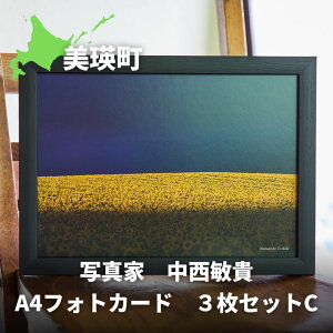 yӂ邳Ɣ[Łzʐ^Ɓ@qM@A4tHgJ[h@3ZbgC[010-206]