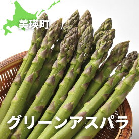 【ふるさと納税】【令和8年産予約受付！】グリーンアスパラ 1.2kg 1.6kg 野菜 送料無料 北海道 北海道美瑛 北海道美瑛町　美瑛 美瑛町 グリーンアスパラ グリーンアスパラガス アスパラ アスパラガス 美瑛産アスパラ 北海道産アスパラ 大雪山農園[013-89]