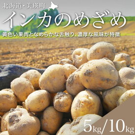 【ふるさと納税】 【令和8年産予約受付！】黒木農場 じゃがいも インカのめざめ 5kg 10kg | 人気 おすすめ ランキング いも 芋 イモ じゃがいも ジャガイモ インカの目覚め 北海道 野菜[010-207]