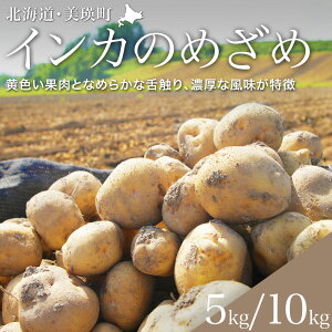 yӂ邳Ɣ[Łz yߘa8NY\tIzؔ_ Ⴊ CĴ߂ 5kg 10kg | lC  LO   C Ⴊ WKC CJ̖ڊo kC [010-207]