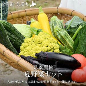 �y�ӂ邳�Ɣ[�Łz��ߘa8�N�Y�\���t�I��� ��� �Z�b�g �l�ߍ��킹 ���l �k�C�� �k�C�����l�@�k�C�����l�� ���l�� ���l �k�C���Y ���l�Y �g�}�g �p�v���J �ɂ񂶂� �X�C�[�g�R�[�� �Ƃ���