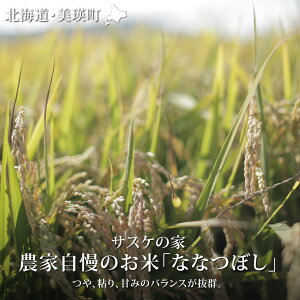 �y�ӂ邳�Ɣ[�Łz��ߘa7�N�Y�I��_�Ǝ����̂��� �ȂȂڂ� 5kg 10kg ����� �k�C�� �k�C�����l �k�C�����l�� ���l�� ���l �ȂȂڂ� ���l�Y �k�C���Y �k�C���Y�ȂȂڂ� ���l�Y�ȂȂڂ�