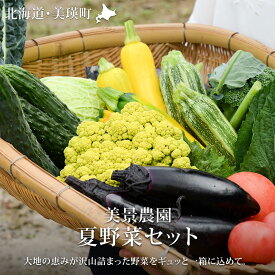 【ふるさと納税】≪令和8年産予約受付！≫夏 野菜 セット 詰め合わせ 美瑛 北海道 北海道美瑛　北海道美瑛町 美瑛町 美瑛 北海道産 美瑛産 トマト パプリカ にんじん スイートコーン とうもろこし とうきび 野菜 送料無料 美景農園[019-70]