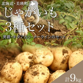 【ふるさと納税】【令和8年産予約受付！】じゃがいも 3種セット 9kg 詰め合わせ 送料無料 | 男爵 メークイン キタアカリ 食べ比べ 野菜 北海道 北海道美瑛 北海道美瑛町 美瑛町 美瑛 野菜 美瑛産 北海道産 黒木農場　[011-61]