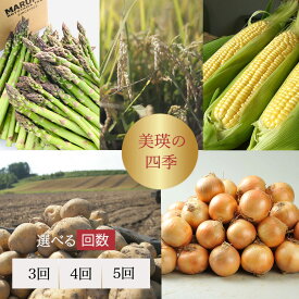 【ふるさと納税】【令和8年産予約受付！】〜美瑛の四季〜 野菜 米 定期便 セット 詰め合わせ | 美瑛米 ななつぼし お米 コメアスパラ とうもろこし 食べ比べ 送料無料 セット 玉ねぎ 人気 おすすめ ランキング いも 芋 イモ じゃがいも ジャガイモ 野菜