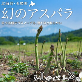 【ふるさと納税】【先行予約 令和8年産】幻のアスパラ「ラスノーブル」グリーンアスパラ おおとり | アスパラ アスパラガス あすぱら あすぱらがす 北海道 美瑛 美瑛町 北海道産 美瑛産 L～Sサイズ L～Mサイズ Lサイズ 1kg 2kg 採れたて 新鮮 旬 産地直送 野菜[015-141]