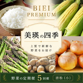 【先行予約】令和9年産【ふるさと納税】野菜 定期便 5回便 美瑛の四季～唐松～ 美瑛米 アスパラ とうもろこし じゃがいも 玉ねぎ | 米 ななつぼし お米 コメ アスパラ とうもろこし 食べ比べ セット 玉ねぎ 人気 おすすめ 芋 イモ じゃがいも ジャガイモ 野菜