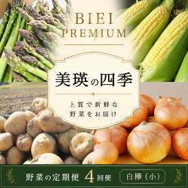 【先行予約】令和9年産【ふるさと納税】野菜 定期便 4回便 美瑛の四季～白樺～ アスパラ とうもろこし じゃがいも 玉ねぎ | アスパラガス トウモロコシ コーン タマネギ 食べ比べ セット 玉ねぎ 人気 おすすめ 芋 イモ じゃがいも ジャガイモ 野菜 セット