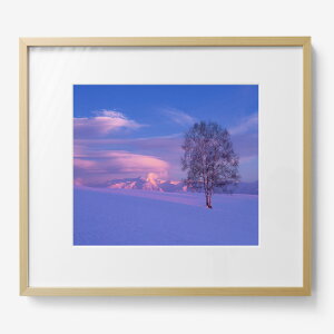 yӂ邳Ɣ[ŁzOc^O ztʐ^i؊zj l؃TCY@^ف@l@l@kCl@ʐ^@IWivg@HN@Hʁ@n̋u@ጴ̗[120-11]