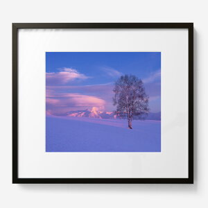 yӂ邳Ɣ[ŁzOc^O ztʐ^izj l؃TCY@^ف@l@l@kCl@ʐ^@IWivg@HN@Hʁ@n̋u@ጴ̗[120-10]